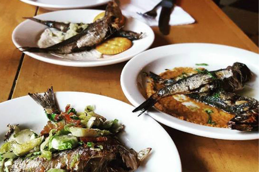 sardine dishes from american sardine bar in philly