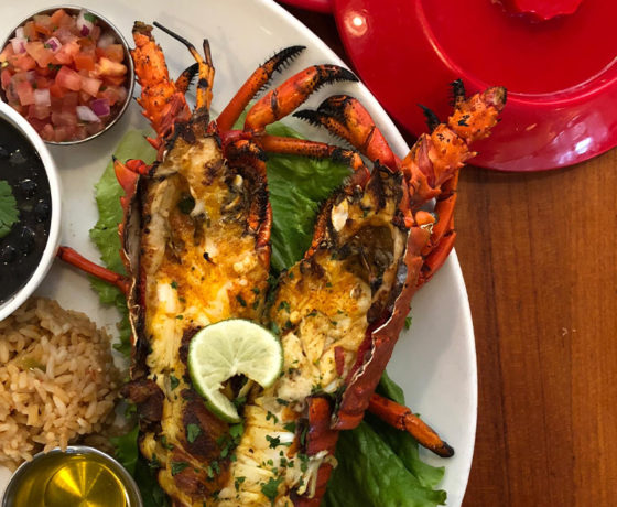 lobster with sides of rice, beans, and pico de gallo from the fish market in san diego
