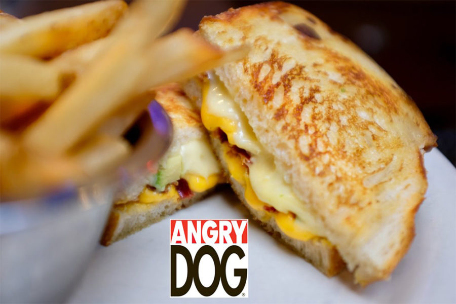 grilled cheese sandwich from angry dog in dallas