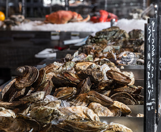 fresh oysters from king fish house in carlsbad