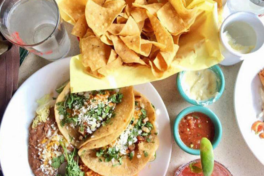 tacos with chips and dip from miguel's cocina in carlsbad