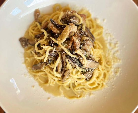 mushroom pasta from le virtu in philly