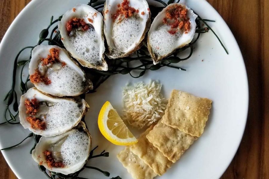 oysters from edison food and drink lab in tampa fl 