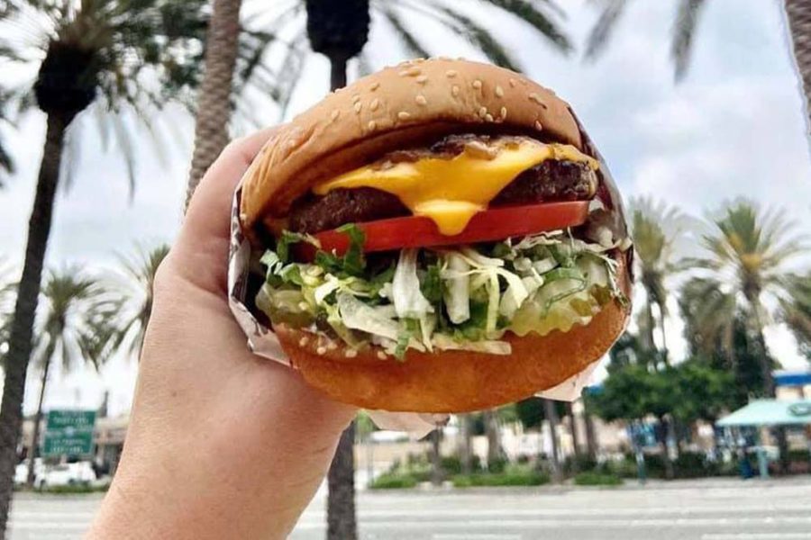 cheeseburger from the habit burger grill in solana beach, california