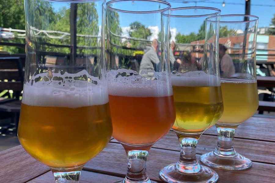 a variety of beer from briar common brewery + eatery in denver