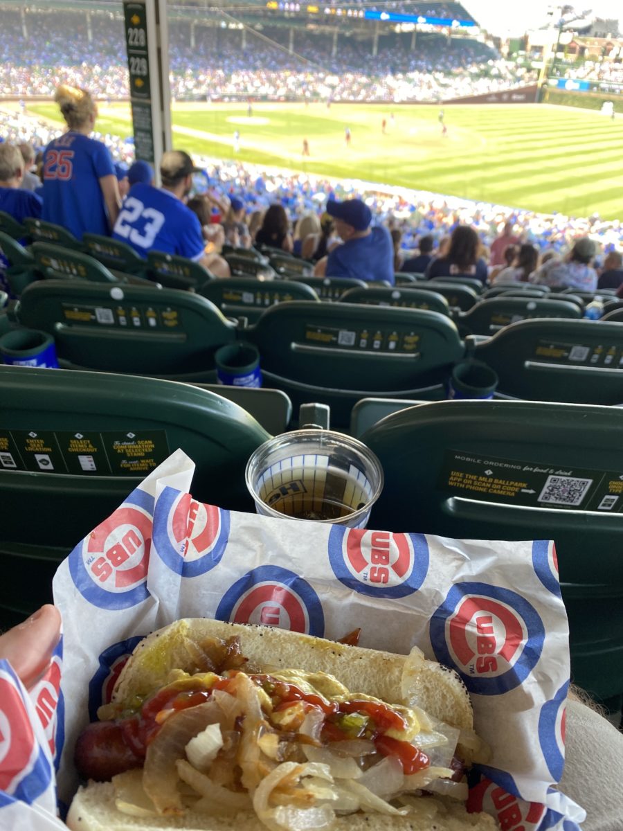Wrigley Field baseball hot dog