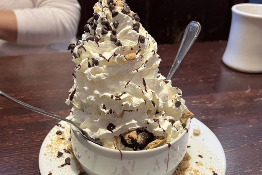 Smores brownie sundae from The Chicago Diner in Chicago