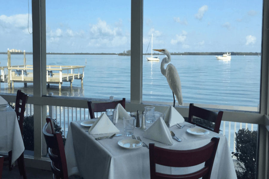 view of waterfront at bon appetit restaurant in tampa