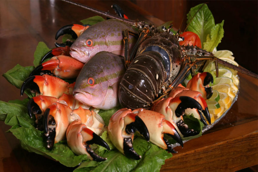 crab, fish, and lobster dish garnished with lemon and salad leaves from Garcias Seafood Grille and Fish Market in miami