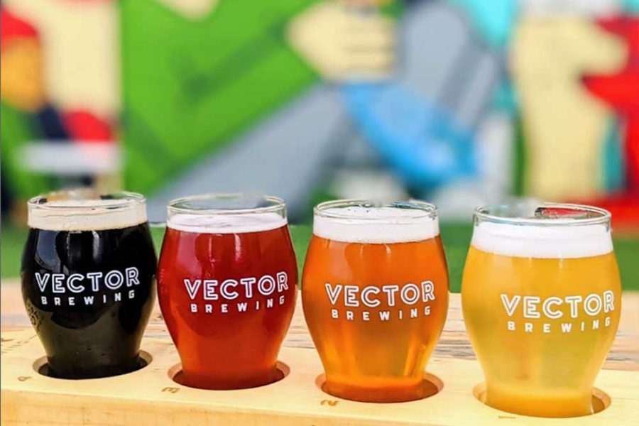 beers from vector brewing in dallas