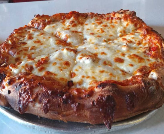 cheese pizza from cappy's pizzeria in tampa