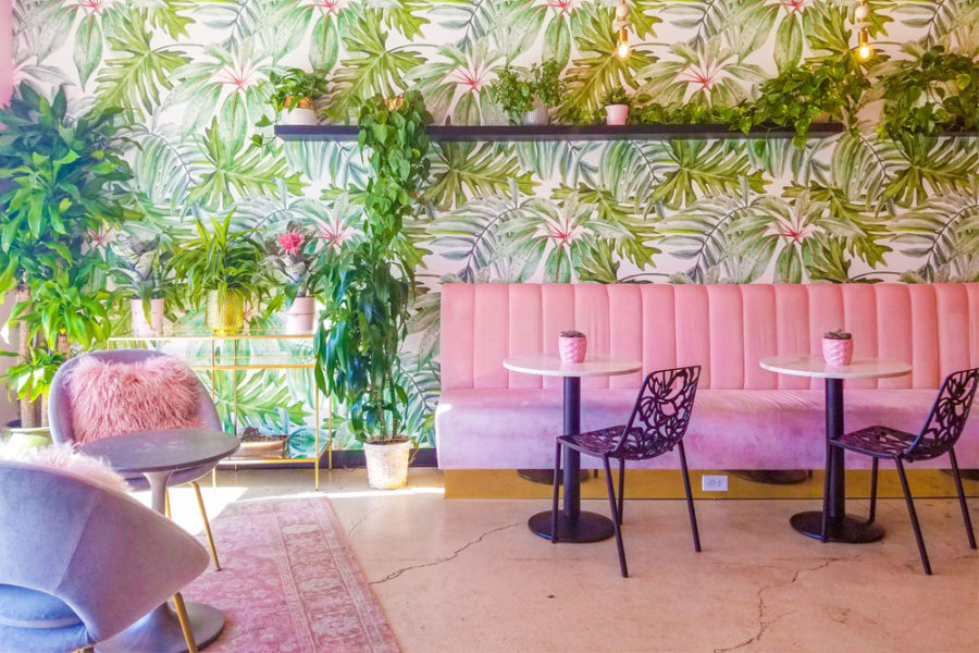 the pink interior with floral wallpaper at s3 coffee bar in san diego