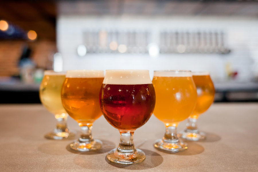 a variety of different beer from tampa bay brewing company