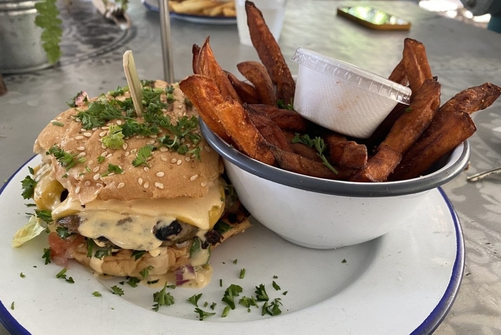 The 7 Absolute Best NoDa Restaurants in Charlotte, NC American Eats