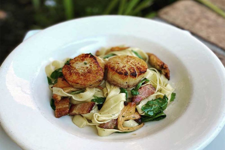 pasta topped with scallops from gervais and vine in columbia, south carolina