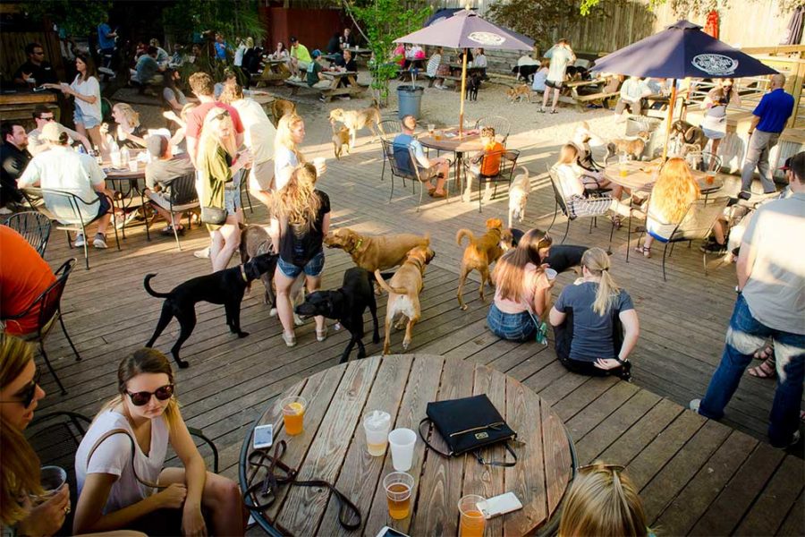 outdoor patios full of dogs and people at jake's in columbia, south carolina
