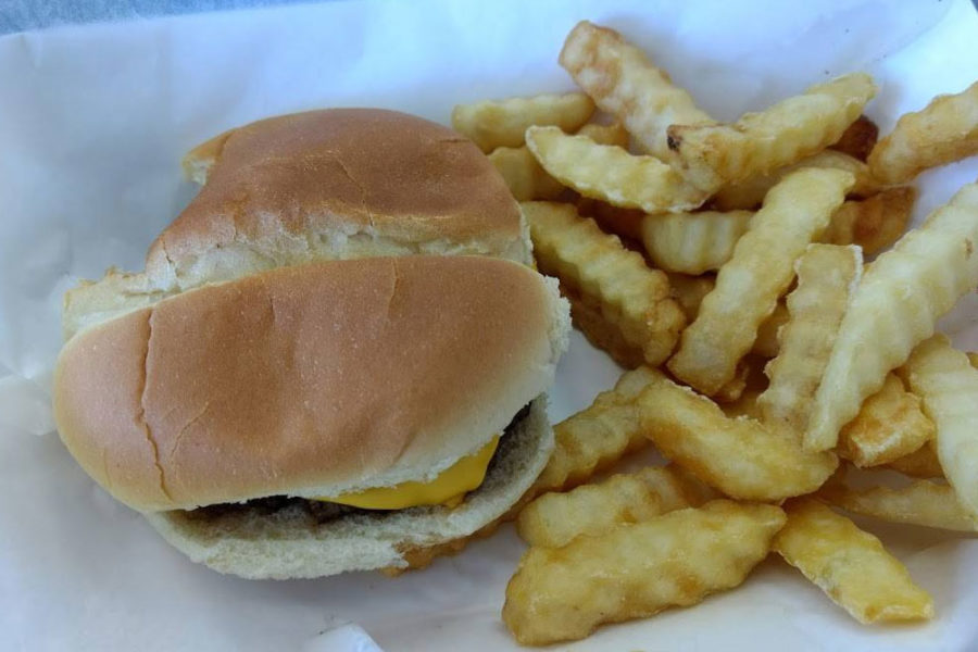 cheese burger and fries from Steve's Classic Burgers in columbia, SC
