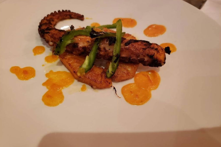 charred octopus from tulum in dallas