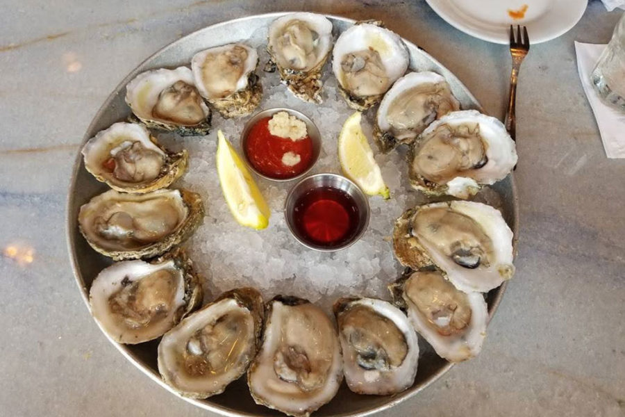 fresh oysters from pearlz in charleston