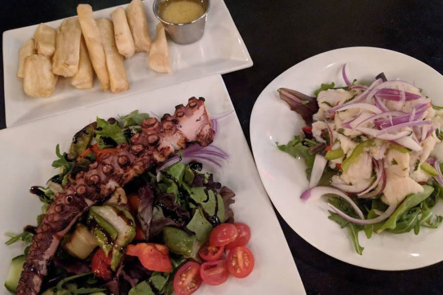 octopus, side salad, and thick cut fries from dona habana in boston