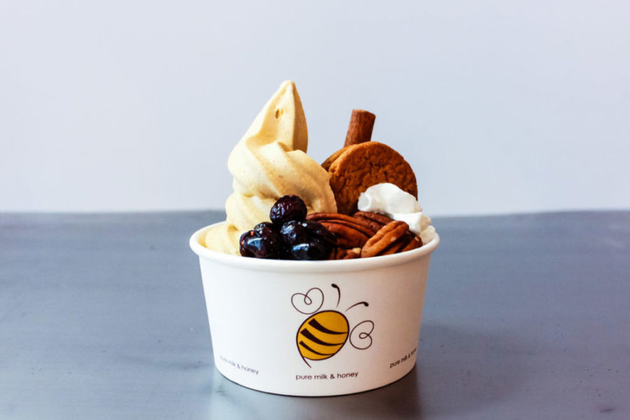 Frozen yogurt with blueberry, pecan, and cookie toppings from Pure Milk and Honey