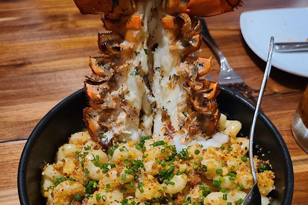 Lobster mac and cheese from Brendon's Catch 23 in downtown Louisville.