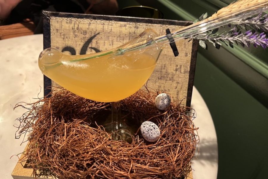 bird cocktail from 36 Below in Phoenix