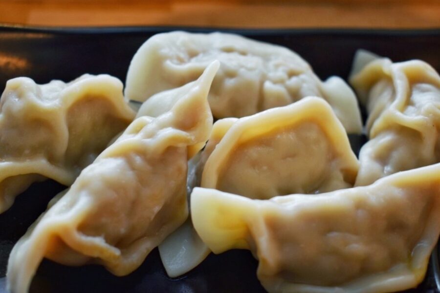 Pork Dumplings from Steam Boys in Nashville