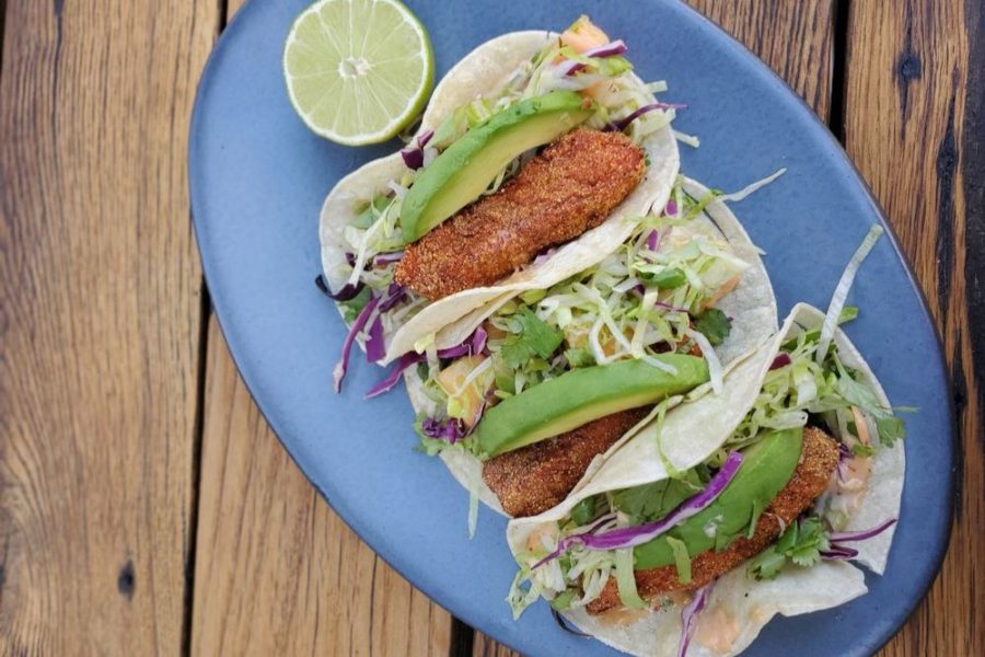 fish tacos from blue hound in phoenix, AZ