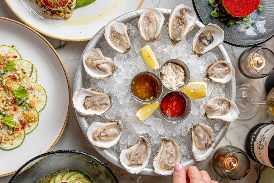 oysters from Marsh House in Nashville