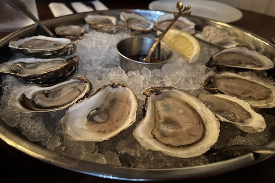 oysters from the shellmore in Charleston, sc