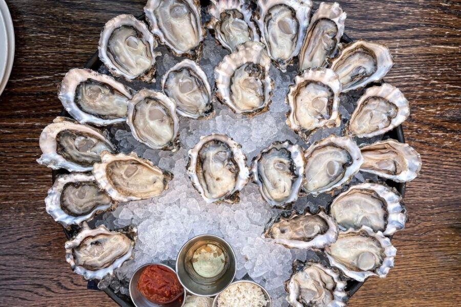 Oysters from Taylor Shellfish Oyster Bar in Seattle