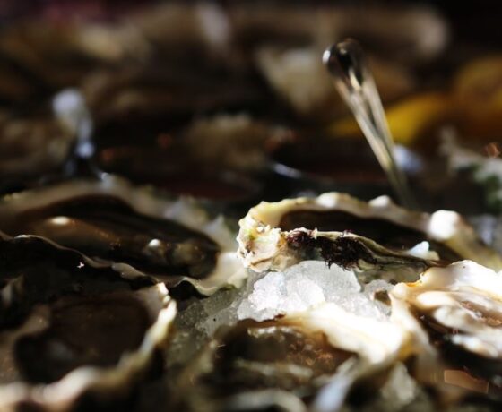Oysters from The Walrus and the Carpenter in Seattle