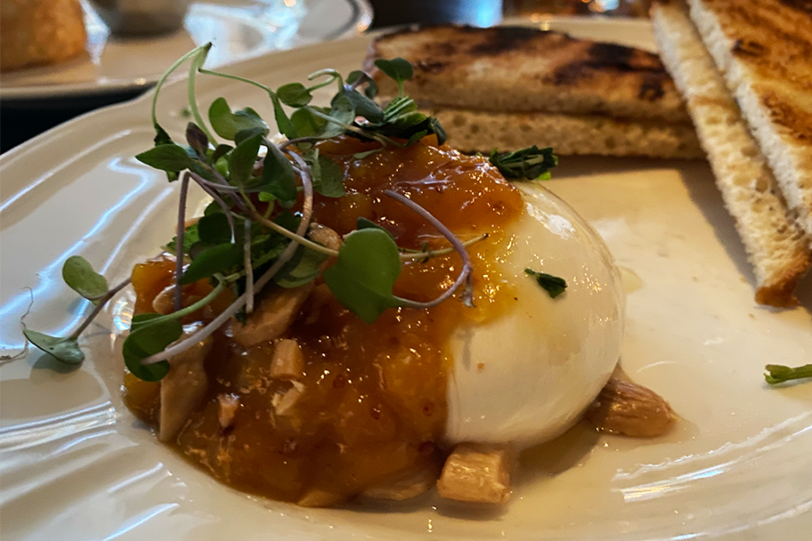 Circular piece of white burrata topped with brown apricot, green mint, and almonds with toast points in the background